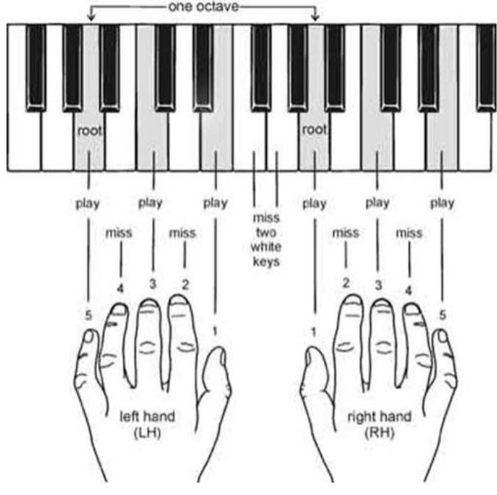 Đặt 10 đầu ngón lên đúng vị trí phím đàn