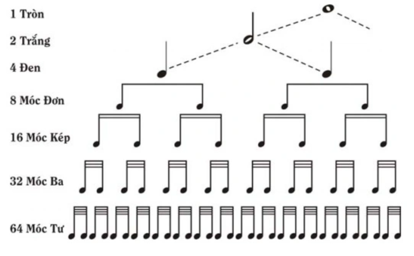 Cần nắm vững những kiến thức nhạc lý cơ bản trước